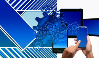 华体会体育在线-中国篮球联赛品牌建设及粉丝经济研究,国内篮球职业联赛